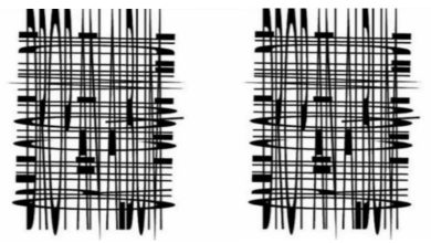 optical illusion hide words